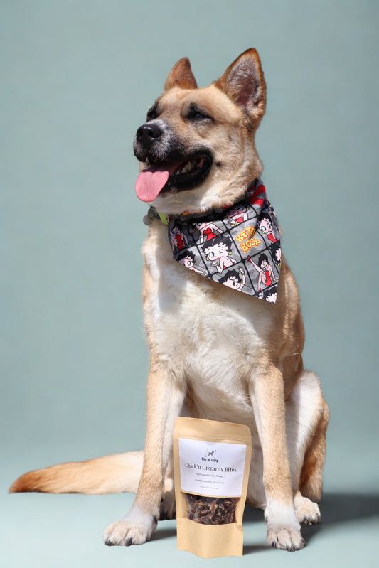 Tip N' Chip Chick'n Gizzard Dog Treats